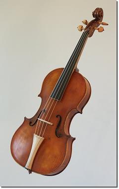 viola