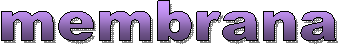 membrana